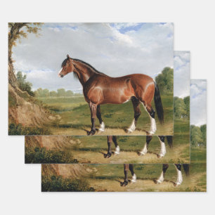 Pferderennen Ölgemälde Vintage Decoupage Geschenkpapier Set