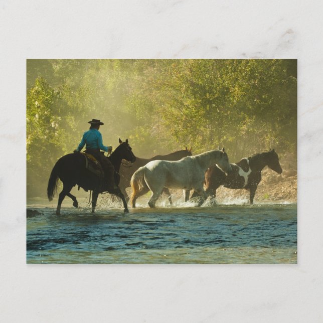 Pferderennfahrer Postkarte (Vorderseite)