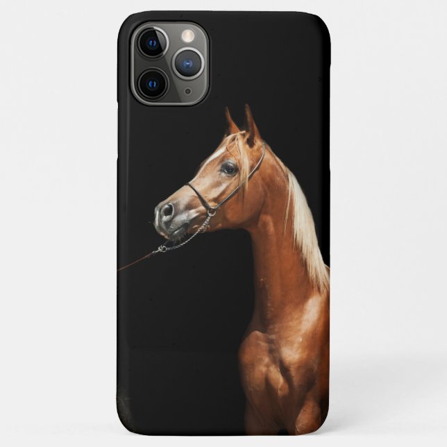Pferdesammlung. Gehäuse mit Arabinerrot OtterBox i Case-Mate iPhone Hülle (Rückseite)