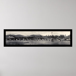 Pferdesanta anita Foto 1908 Poster