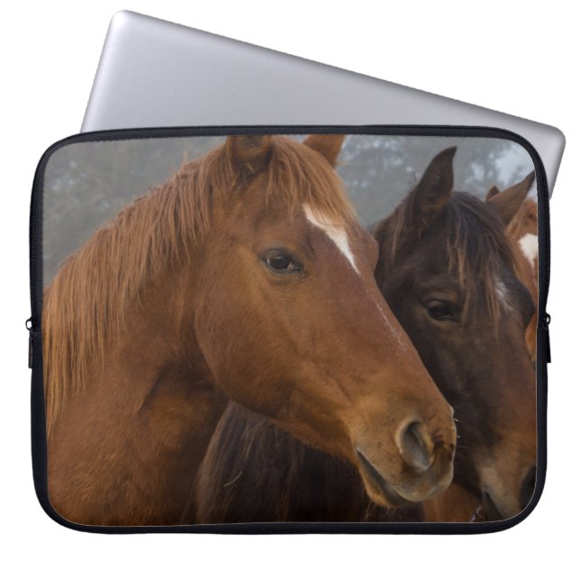 Pferdeschlachten Laptopschutzhülle (Vorderseite)