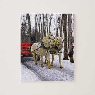 Pferdeschlitten-Fahrt in der Schnee-Sammlung