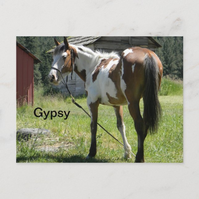 Pferdeschlittenkarte Postkarte (Vorderseite)