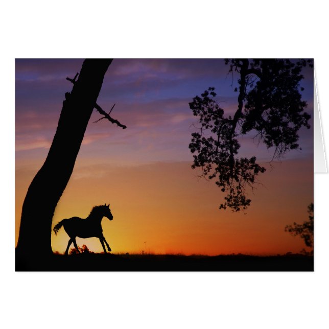 Pferdeschmeichelgeist (Vorderseite (Horizontal))