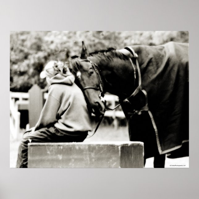 Pferdeschnecken Poster (Vorne)