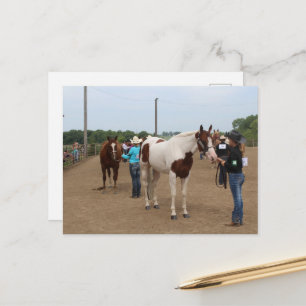 Pferdeshow-Aufmachung Paints und Quarter Horses Postkarte