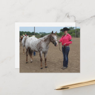 Pferdeshow-Aufmachung POA und Appaloosa Postkarte