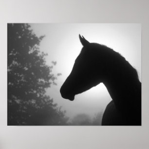 PferdeSilhouette in Schwarzweiss Poster