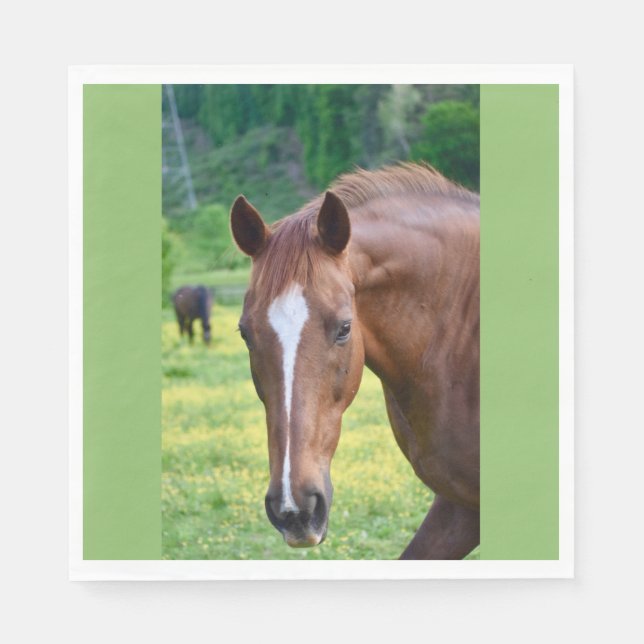 Pferdespiel Serviette (Vorderseite)