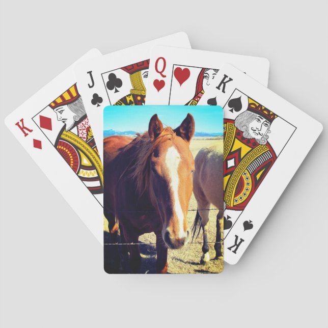 Pferdespielkarten Spielkarten (Rückseite)