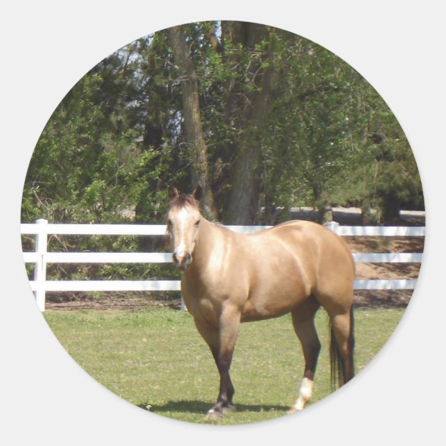 Pferdestäbchen Runder Aufkleber (Vorderseite)