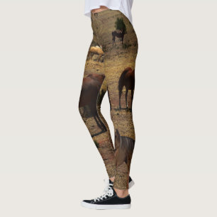Pferdetal, Leggings