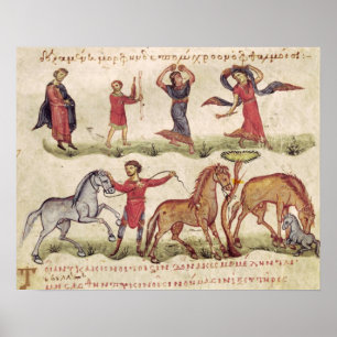 Pferdetrainer Poster