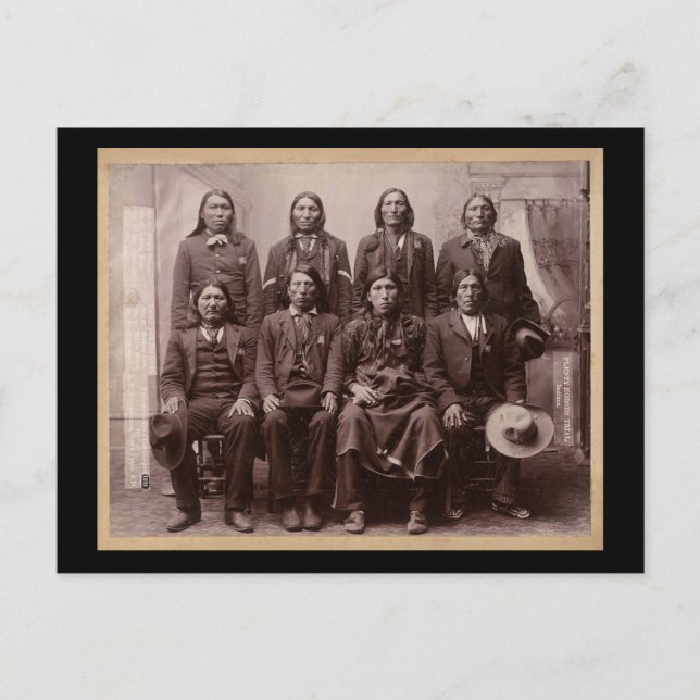 Pferdeversuch 1890 postkarte (Vorderseite)