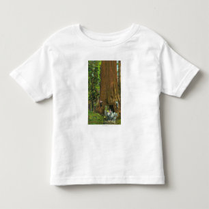 Pferdewagen unter einem riesigen Rotholz Kleinkind T-shirt