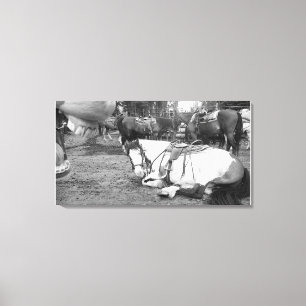 Pferdewall Art Schwarz-Weiß-Foto Leinwanddruck