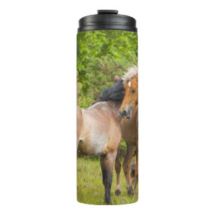 Pferdewäscher Thermosbecher