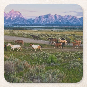 Pferdeweg Rechteckiger Pappuntersetzer