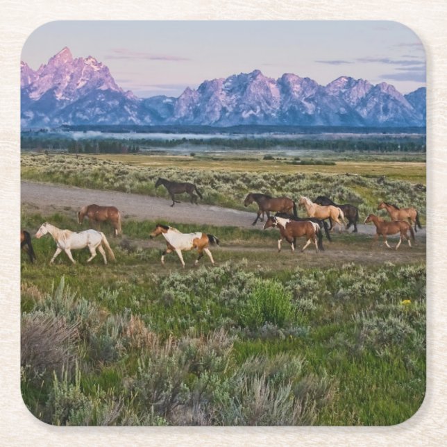 Pferdeweg Rechteckiger Pappuntersetzer (Vorderseite)