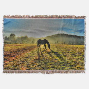 Pferdeweiden bei Sonnenaufgang im Foto des Misty F Decke