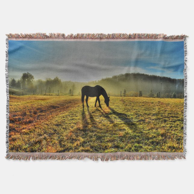 Pferdeweiden bei Sonnenaufgang im Foto des Misty F Decke (Vorderseite)
