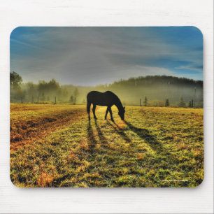 Pferdeweiden bei Sonnenaufgang im Foto des Misty F Mousepad
