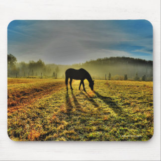 Pferdeweiden bei Sonnenaufgang im Foto des Misty F Mousepad