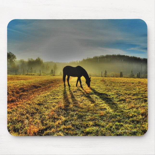 Pferdeweiden bei Sonnenaufgang im Foto des Misty F Mousepad (Vorne)