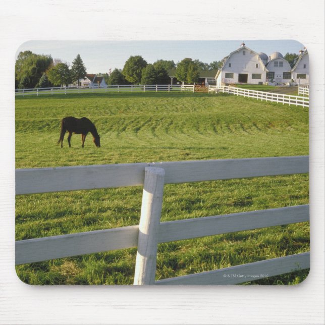 Pferdeweiden im landwirtschaftlichen Betrieb Mousepad (Vorne)