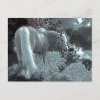 Pferdeweiden im Mondlicht