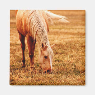 Pferdeweiden Magnet
