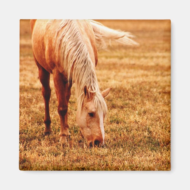 Pferdeweiden Magnet (Vorne)