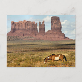 Pferdeweiden, Monument Valley, ABER Postkarte