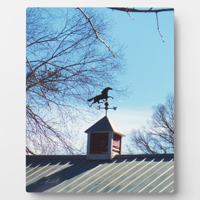 Pferdewetter Vane Blue Sky Fotoplatte (Vorderseite)
