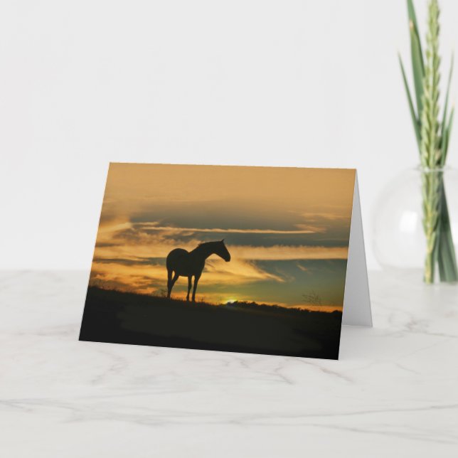 Pferdewolken und Sonnenuntergang Karte (Vorderseite)