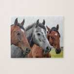 Pferdezucht<br><div class="desc">Dieses naturwissenschaftliche Puzzle enthält drei Pferde auf einer Weide,  die sich die Kamera #Ross #horses #animal #farm #farmlife #nature #nature #nature #area #country #jigsaw #jigsaw #jigsazzle #jigsawpuzzle #gifts #gift #gift #fun #stockingstopers #games</div>