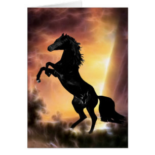 Pferdezucht auf Friesian Stallion