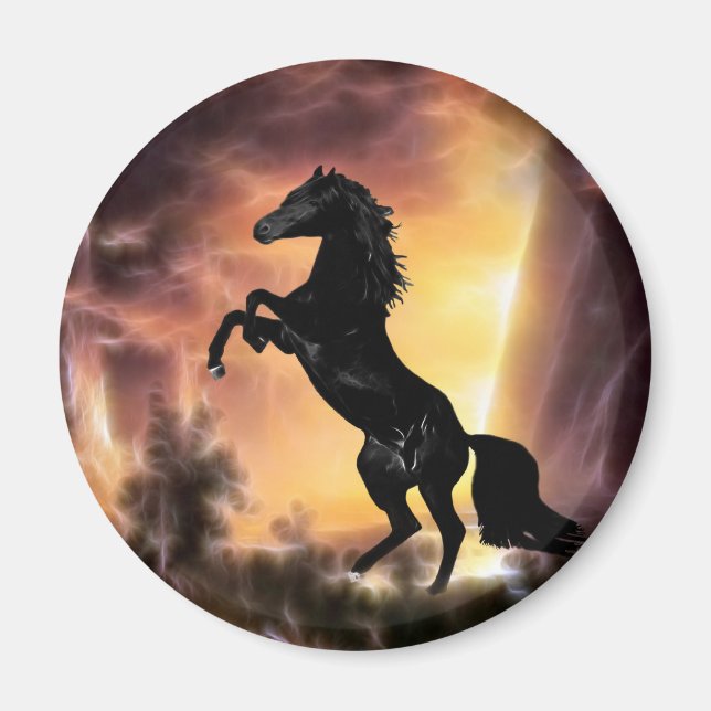 Pferdezucht auf Friesian Stallion Magnet (Vorne)