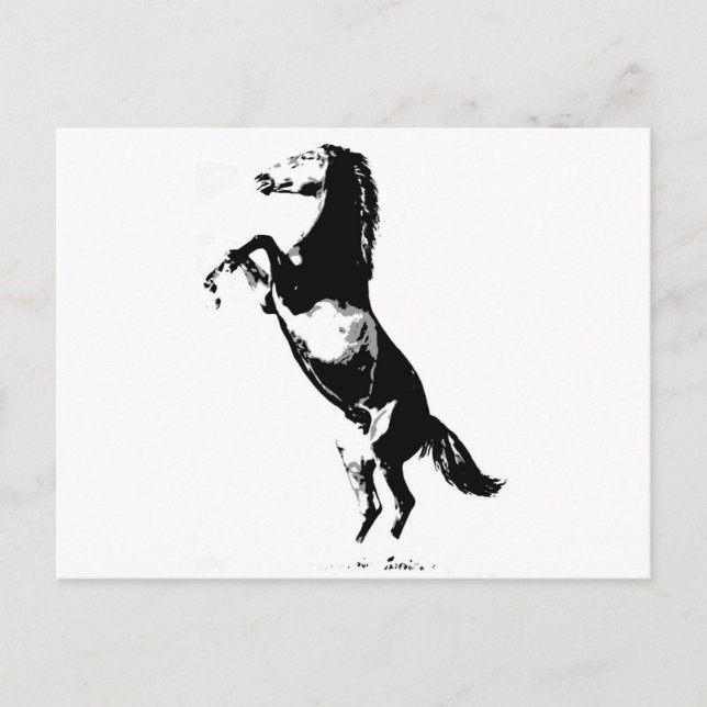 Pferdezucht Postkarte (Vorderseite)