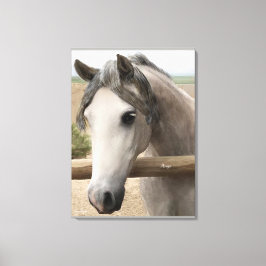 Pferdportrait Art Wrapped Canvas 24" x 18", 1,5" Leinwanddruck