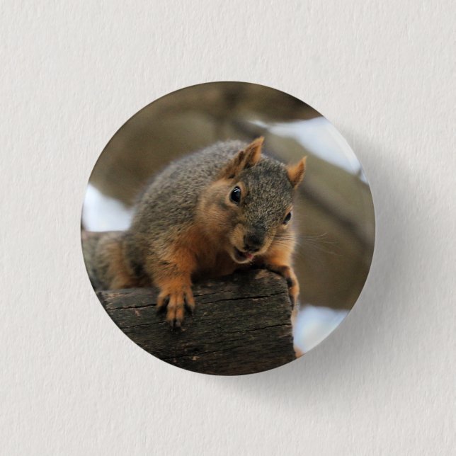 Pfft Button (Vorderseite)