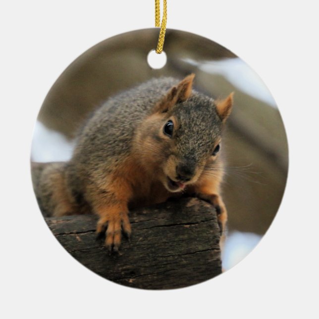 Pfft Keramik Ornament (Vorne)