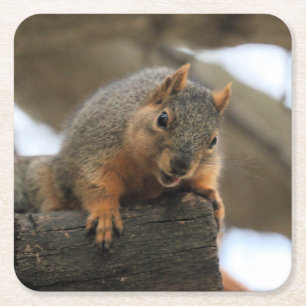 Pfft Rechteckiger Pappuntersetzer