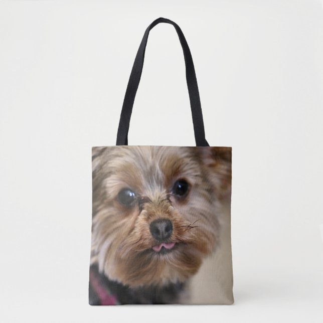 Pfft! Tasche (Vorderseite)