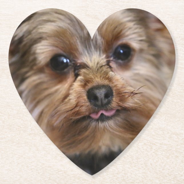 Pfft! Untersetzer (Vorderseite)