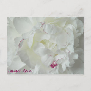 Pfingsten: Immer dein Postkarte