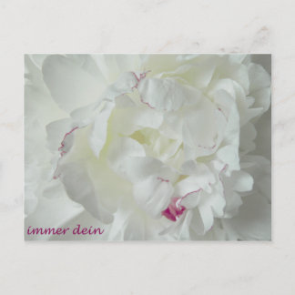 Pfingsten: Immer dein Postkarte