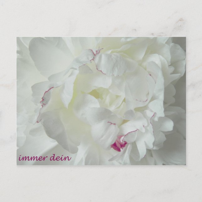 Pfingsten: Immer dein Postkarte (Vorderseite)