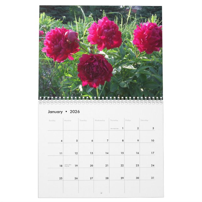 Pfingstrosen-Blumen-Blumenkalender 2012 Kalender (Jan 2026)