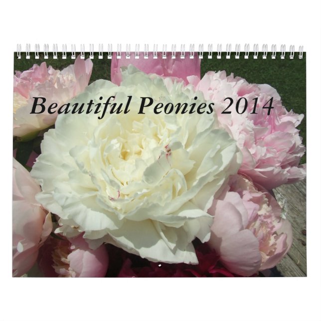Pfingstrosen-Blumen-Kalender 2014 Kalender (Titelbild)